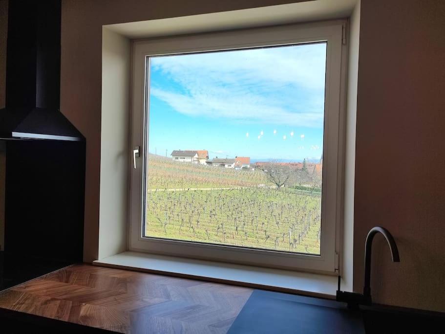 Vue Splendide Au Coeur Des Vignes Apartment เบิร์กไฮม์ ภายนอก รูปภาพ