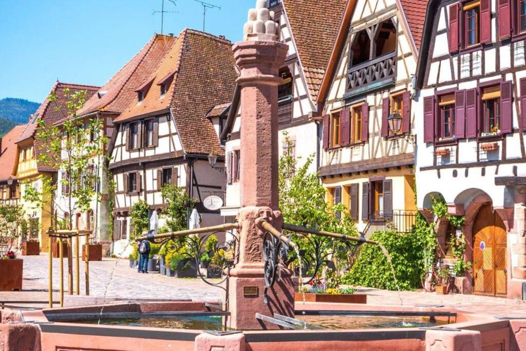 Vue Splendide Au Coeur Des Vignes Apartment เบิร์กไฮม์ ภายนอก รูปภาพ